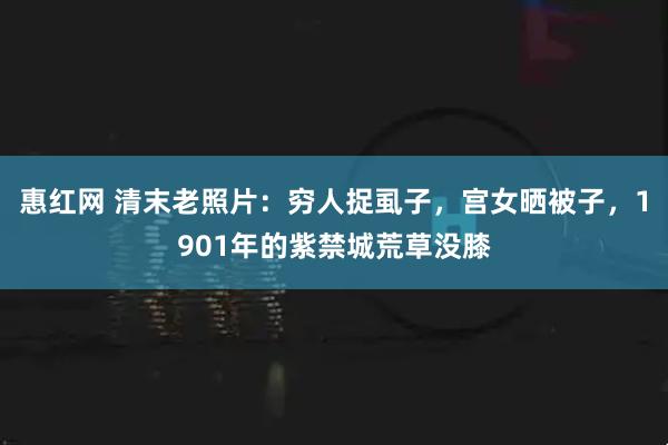 惠红网 清末老照片：穷人捉虱子，宫女晒被子，1901年的紫禁城荒草没膝