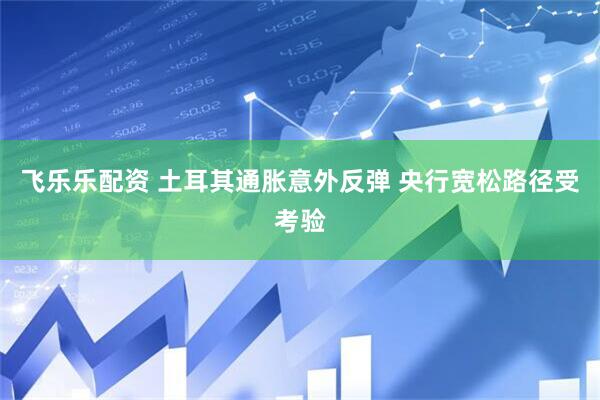 飞乐乐配资 土耳其通胀意外反弹 央行宽松路径受考验